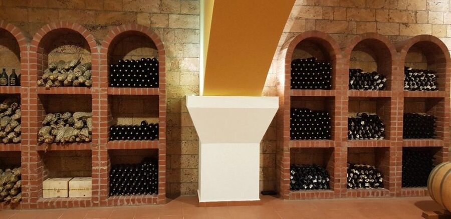From Kos: Tour of 2 Wineries with Wine Tasting & Small Bites - Who This Tour Suits Best (And Who Should Skip It)