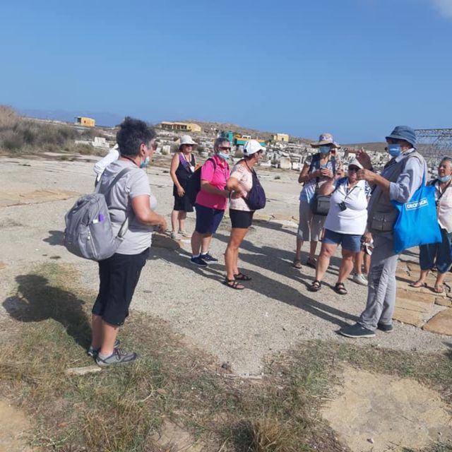 From Mykonos: Ancient Delos Tour - Who this tour suits best