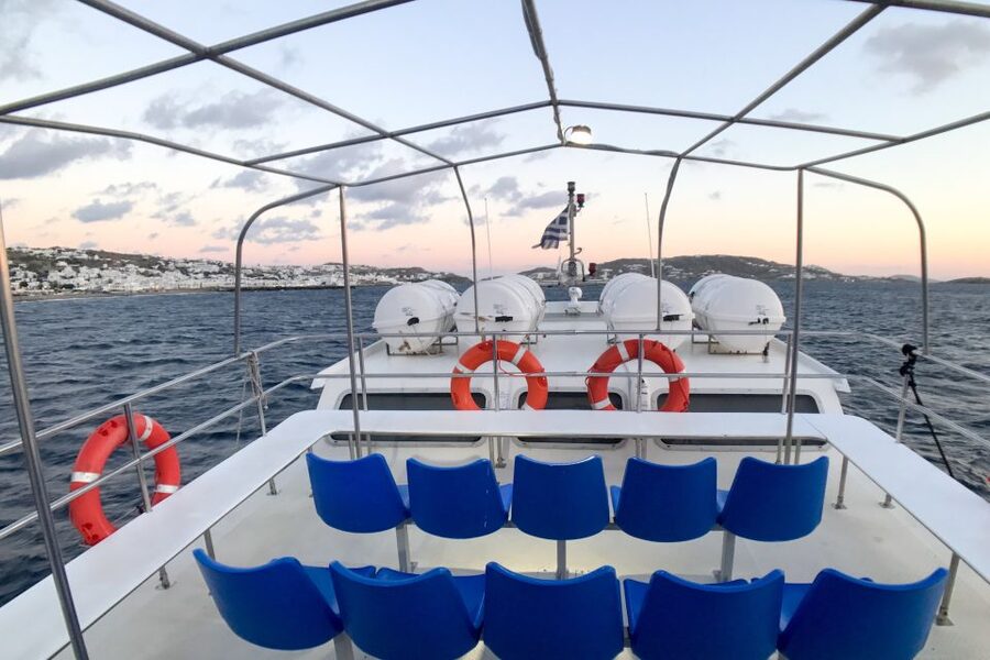 From Mykonos Cruise Port: Delos Guided Tour - Delos in 5 Hours: Why a Guide Makes the Difference