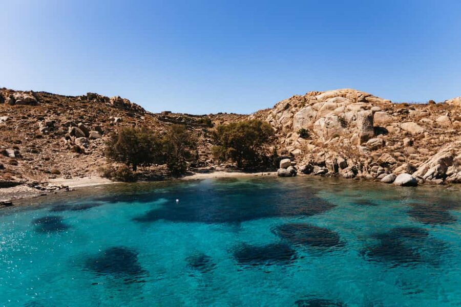 From Mykonos: Cruise to Delos and Rhenia with Lunch - Exploring Delos: Dionysus and Cleopatra’s houses are the star attraction