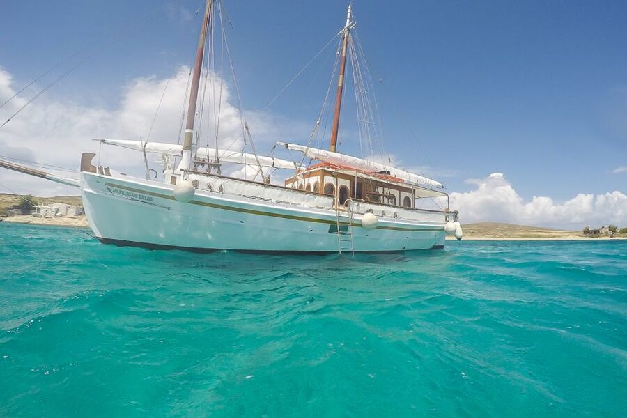 From Mykonos: Delos & Rhenia Islands Half-Day Trip by Boat - Key highlights worth knowing