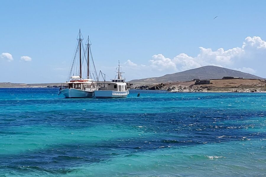 From Mykonos: Delos & Rhenia Islands Half-Day Trip by Boat - What to Pack for Rhenia and Delos Heat