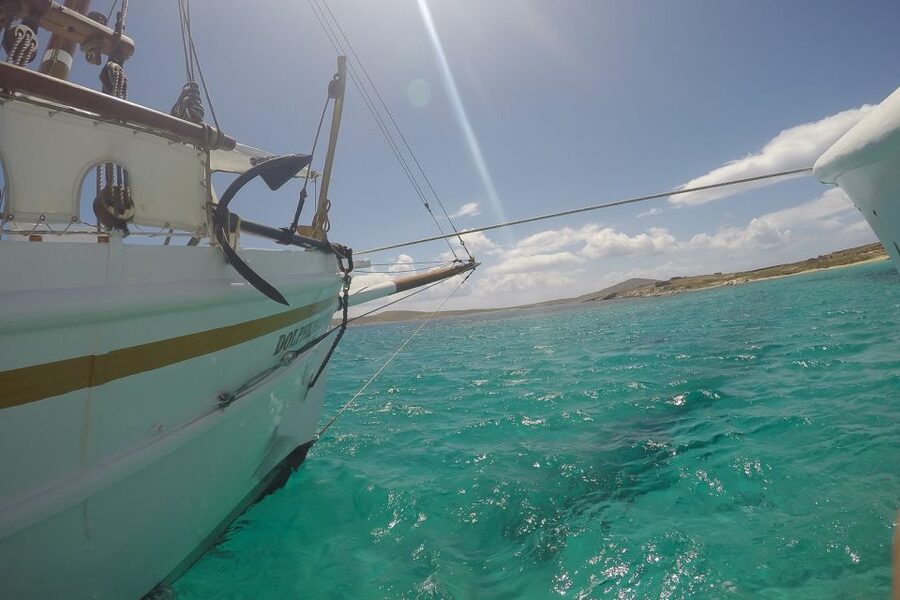 From Mykonos: Delos & Rhenia Islands Half-Day Trip by Boat - Who This Trip Fits Best (and Who Might Prefer Something Else)