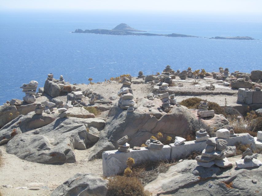 From Naxos: Delos and Mykonos Full-Day Boat Trip - Logistics That Can Make or Break Your Day