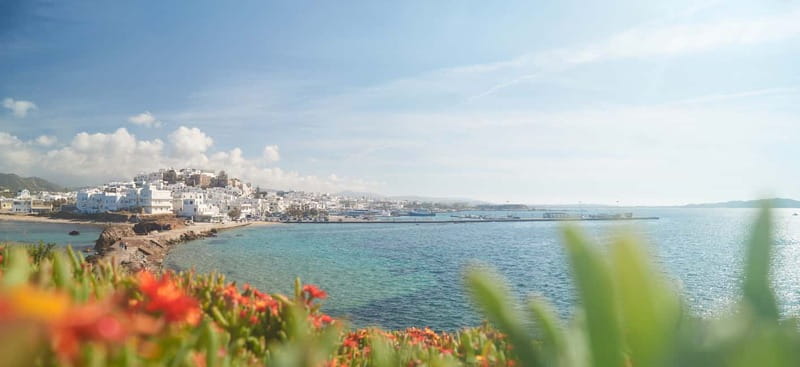 From Naxos: Delos and Mykonos Full-Day Trip - Why this Naxos to Delos and Mykonos catamaran day makes sense