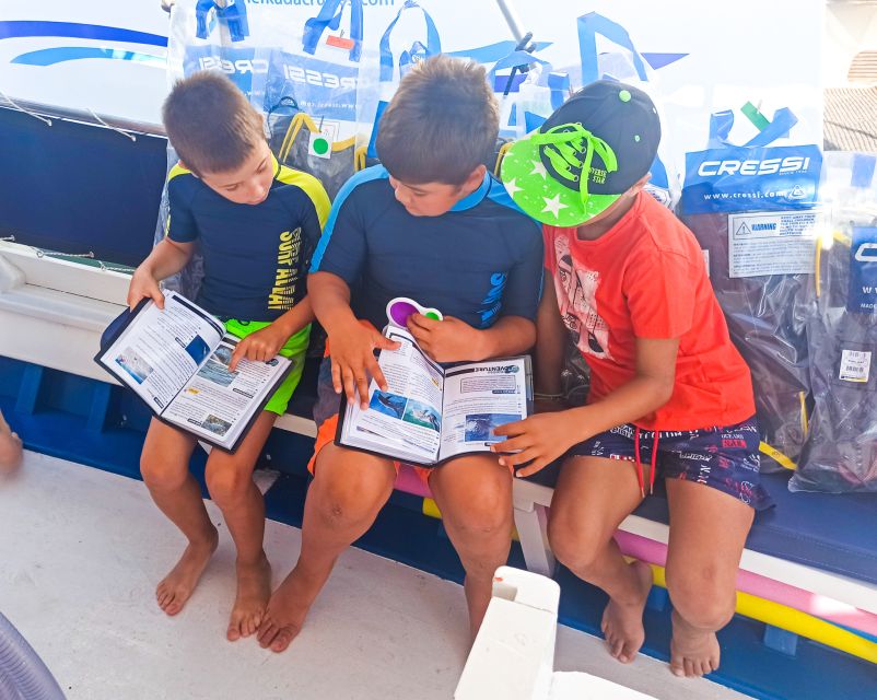 From Nidri: Marine Wildlife Cruise with Lunch and Swim Stops - Who should book this Lefkada marine wildlife cruise