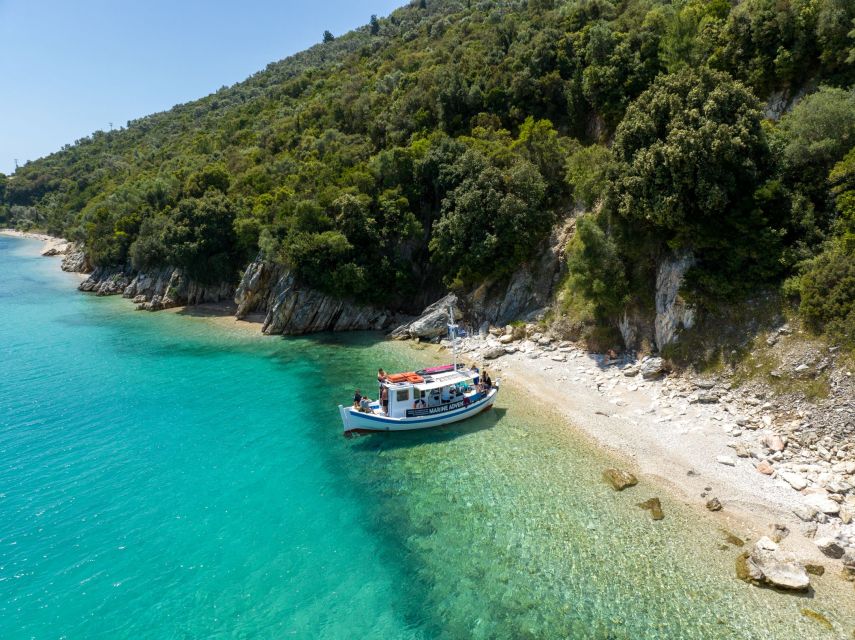 From Nidri: Marine Wildlife Cruise with Lunch and Swim Stops - How you spot wildlife: using the on-board species materials
