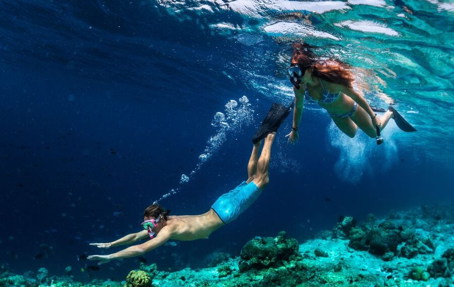 From Nidri: Marine Wildlife Cruise with Lunch and Swim Stops - Price and value: is $82 fair for this kind of day?