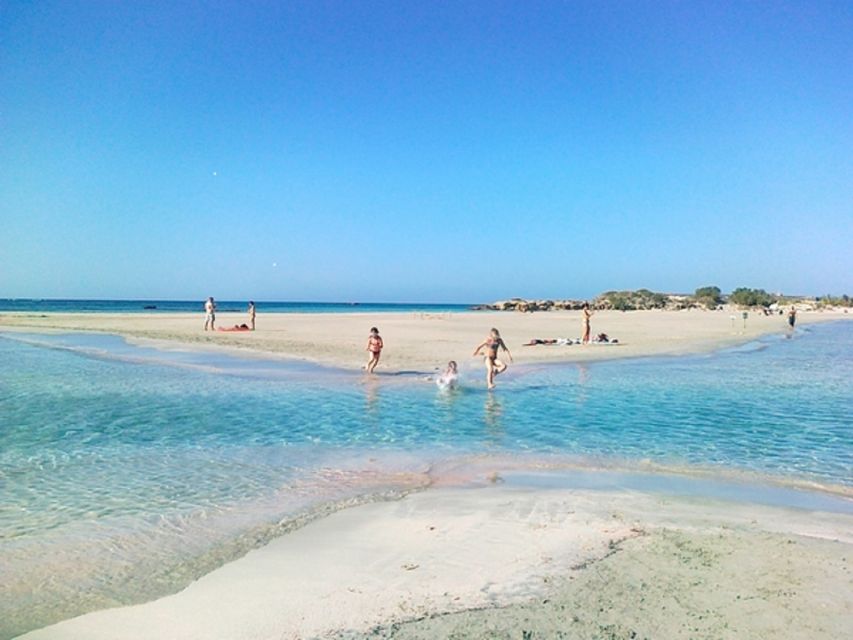 From Rethymno & Chania: Elafonisi Island Day Tour by Bus - Value check: does $31 feel fair for this day tour?