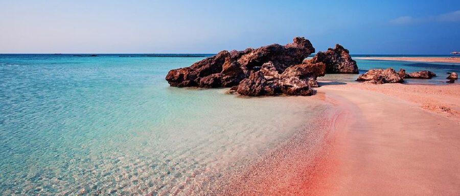 From Rethymno & Chania: Elafonisi Island Day Tour by Bus - Who should book this Elafonisi bus day trip?