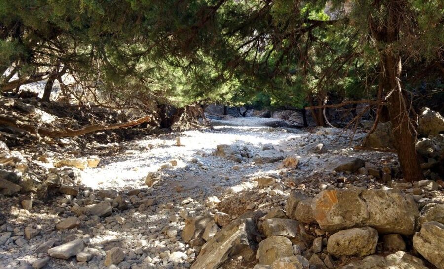 From Rethymno/Chania: Imbros Gorge Hike - Imbros Gorge and Chora Sfakion: the rhythm of this 8-hour day