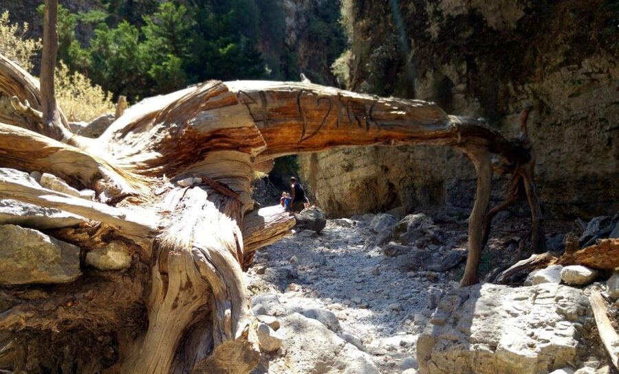 From Rethymno/Chania: Imbros Gorge Hike - Chora Sfakion after the hike: swimming, lunch, and fortress views