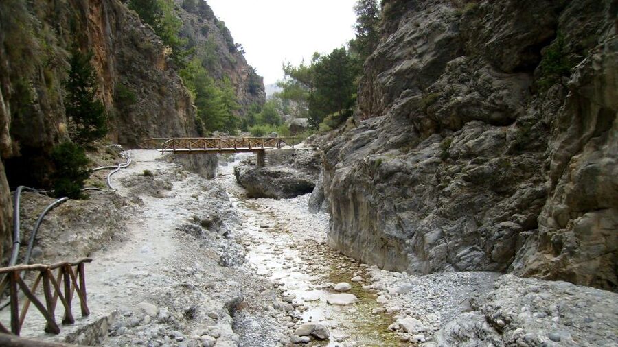 From Rethymno/Chania: Imbros Gorge Hike - The guide and drive experience: why names like Leonida, Lazarus, and Spinoli pop up