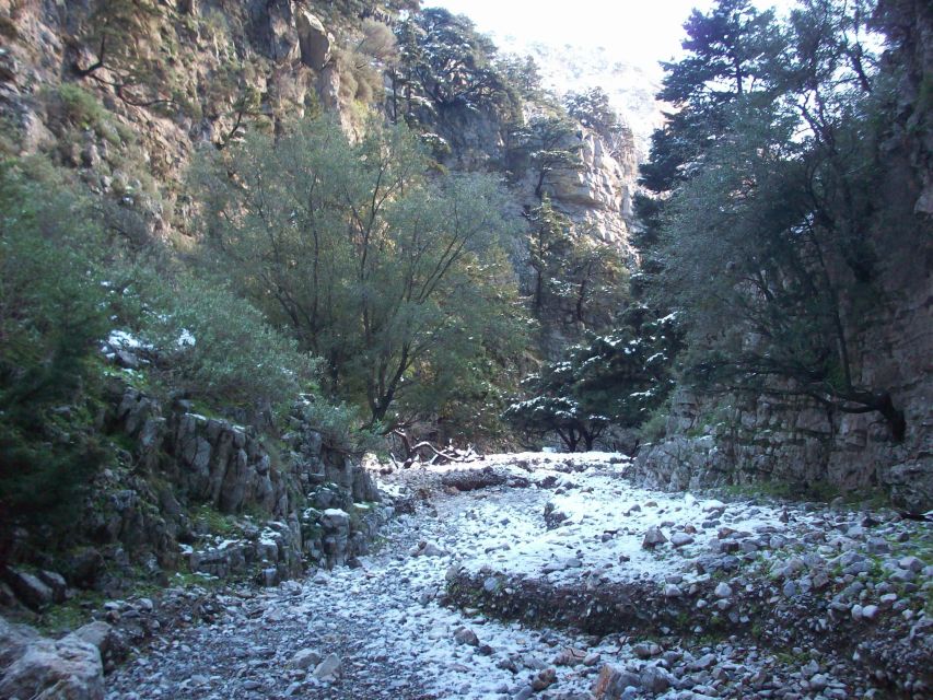 From Rethymno: Imbros Gorge & Libyan Guided Sea Tour - Komitades to Chora Sfakion: how to use your free time well