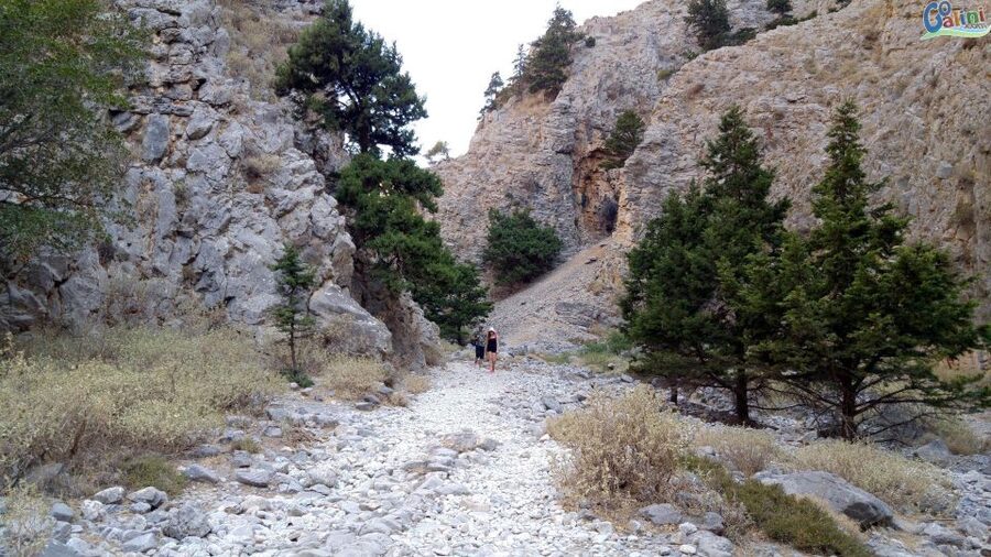 From Rethymno: Imbros Gorge & Libyan Guided Sea Tour - South coast swim in the Libyan Sea: the best part to plan for
