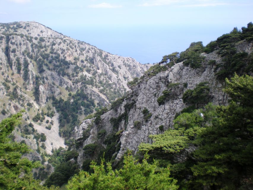 From Rethymno: Imbros Gorge & Libyan Guided Sea Tour - Lunch on the coast: simple, traditional, and timed for recovery