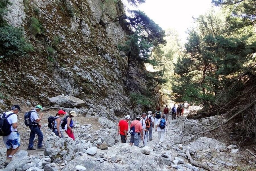 From Rethymno: Imbros Gorge & Libyan Guided Sea Tour - Price and value from Rethymno: what you’re really paying for