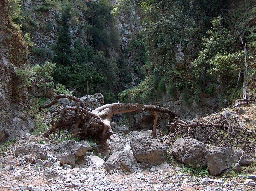 From Rethymno: Imbros Gorge & Libyan Guided Sea Tour - Time on the clock: what a 9 to 10 hour day feels like