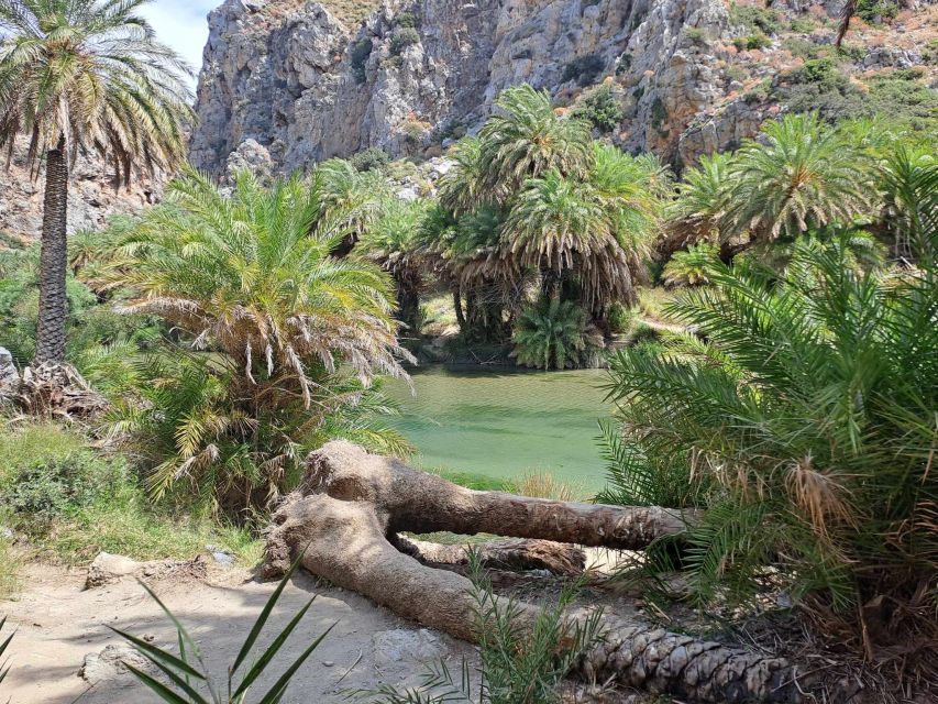 From Rethymno: Kourtaliotiko, Preveli Palm Beach, & Damnoni - Guides, language, and why the day feels smooth