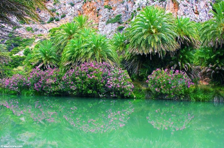 From Rethymno: Preveli Palm Beach and Kourtaliotiko Day Trip - Practical tips that make the day smoother