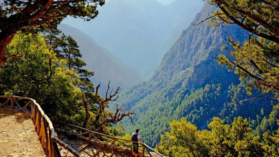 From Rethymno: Samariá Gorge Full-Day Hike - Inside Samaria Gorge: Iron Gates, springs, and the Kri-Kri moment