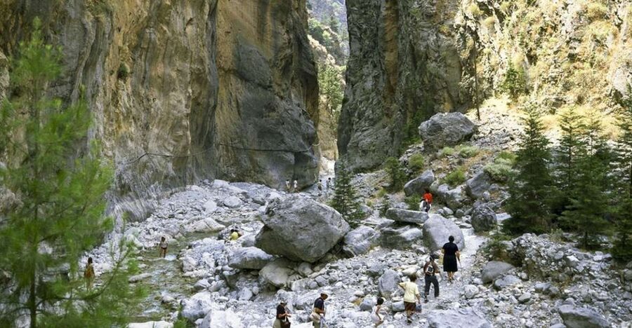 From Rethymno: Samaria Gorge Full-Day Trek, Pickup & Guide - Rare plants, birds, goats, and what your guide will point out