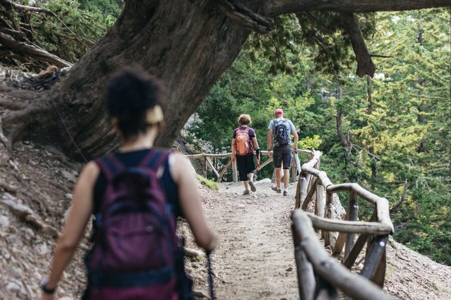 From Rethymno: Samaria Gorge Full-Day Trek, Pickup & Guide - Ferry to Sfakia and the bus back that keeps the day smooth