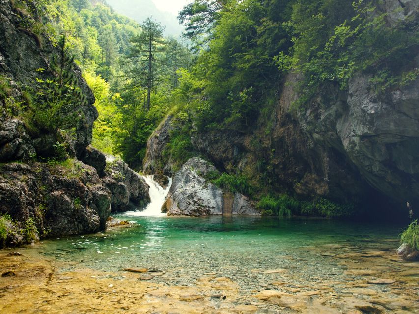 From Thessaloniki: Day Trip to Dion and Mount Olympus Park - Litochoro and lunch: what to do with your 90 minutes