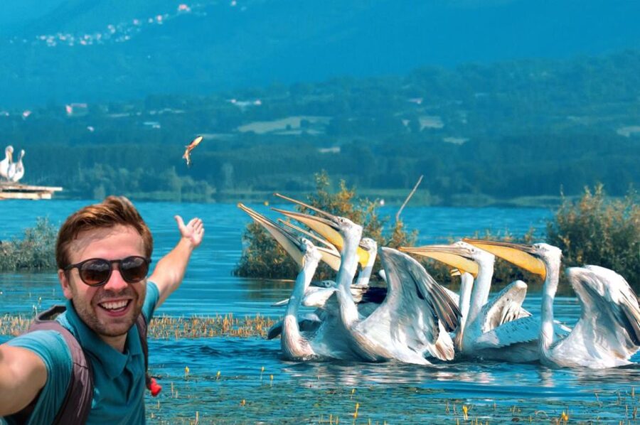 From Thessaloniki: Private Day Trip to Kerkini Lake - Why Lake Kerkini feels like a real nature reset