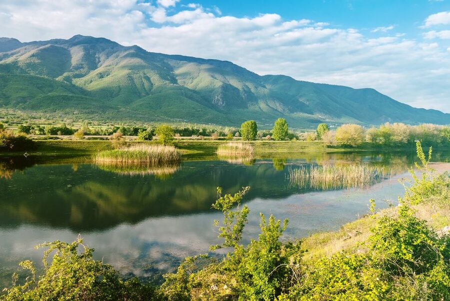 From Thessaloniki: Private Day Trip to Kerkini Lake - Price and value: $577 for up to 8 in a private day