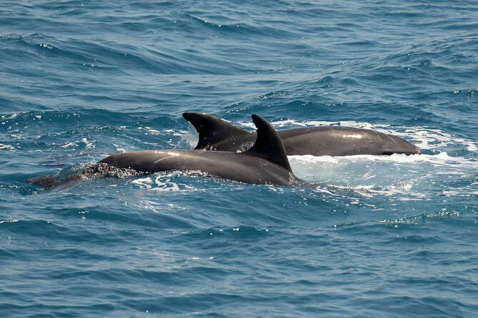 Full Day 3-Island Boat Cruise from Port of Kos - FAQ
