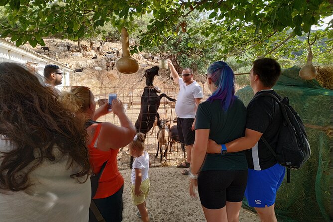 Full-Day Jeep Safari Tour with Cooking Lesson - Krasi’s Plane Tree and the Malia Finale