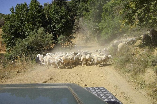 Full-Day Land Rover Safari from Heraklion with Lunch - Price and value: what you’re really paying for