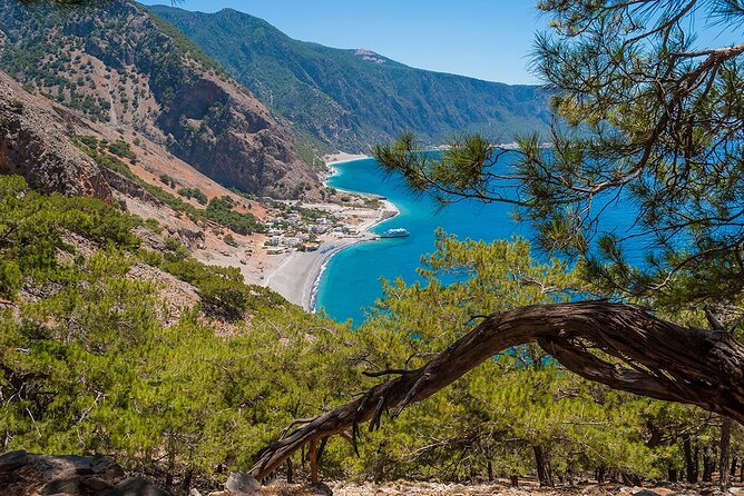 Full-Day Samaria Gorge Chania Guided Tour - Agia Roumeli time: swim in the Libyan Sea and Cretan meal breaks