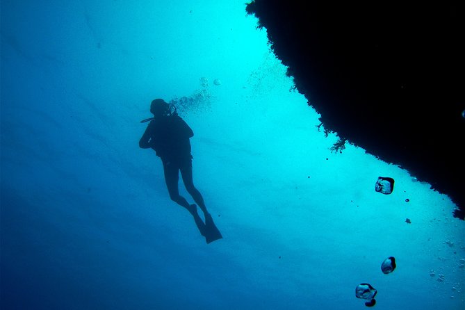 (Full day)Scuba Diving in Rhodes - When You Are Not Underwater: Snorkeling, Swimming, and Boat Downtime