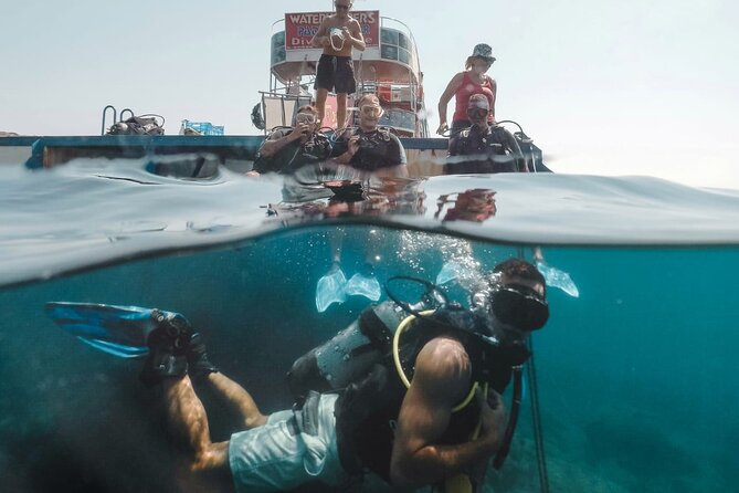 (Full day)Scuba Diving in Rhodes - What You Actually Pay For: Price, Second Session, Photos, and Food