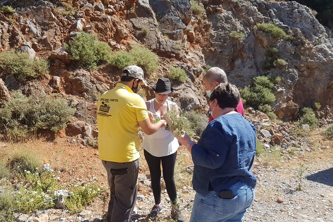 Full-Day Small-Group Tour in Crete with Zeus Cave Visit - Windmills of Lasithi Plateau: A Quick Photo Hit with Big Context