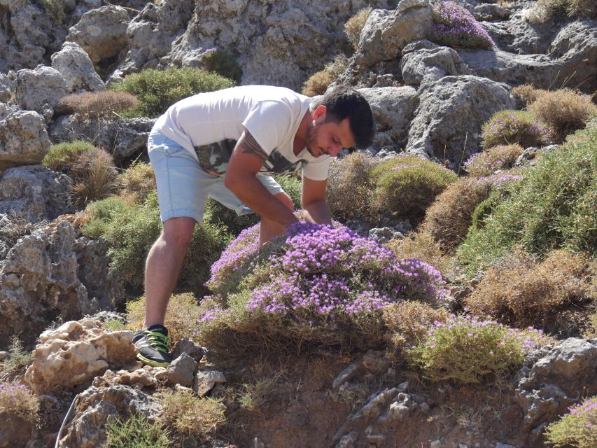 Georgioupolis Full-Day Land Rover Safari Experience - Why this safari feels like Crete, not just sightseeing