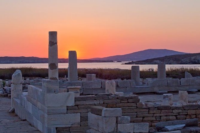 Half-Day Delos Tour from Mykonos - Old Port Check-In, Skip-the-Line Access, and the One Thing People Forget