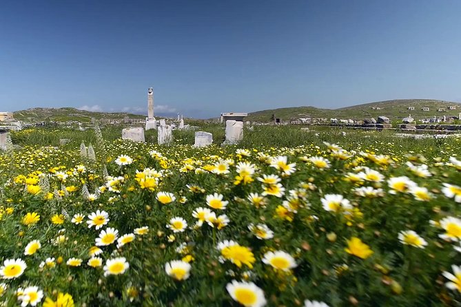 Half-Day Delos Tour from Mykonos - House of Dionysos, Cleopatra Statue, and the Mosaics You Stop for