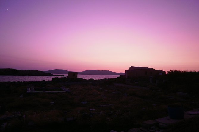 Half-Day Delos Tour from Mykonos - Theatre of Delos, Public Cistern, and the Main Streets Between Sanctuaries