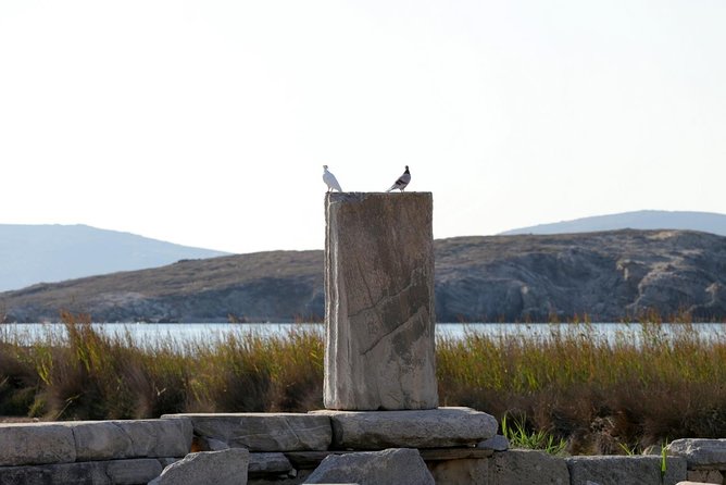 Half-Day Delos Tour from Mykonos - Weather, Wind, and What to Pack So You Enjoy It