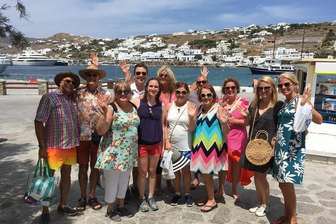 Half-Day Highlights of Mykonos Tour - Kato Milli windmills, the classic skyline in 10 minutes