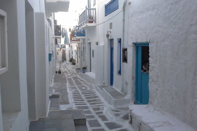 Half-Day Private Guided Tour in Mykonos - Ano Mera and spinach pie: a quieter square break with local flavor