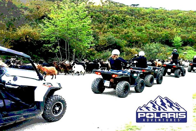 Half-Day Rethymno Quad Safari - ATV riding reality check, dust, terrain, and safety