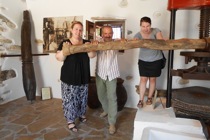 Half-Day Tour of Naxos Island (up to 7 pax) - Naxos olive groves and the restored olive mill tasting stop