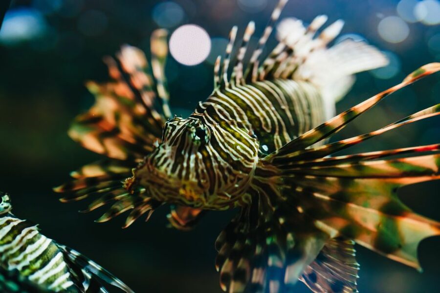 Heraklion Area: CRETAquarium Admission Ticket - Key things to know before you go