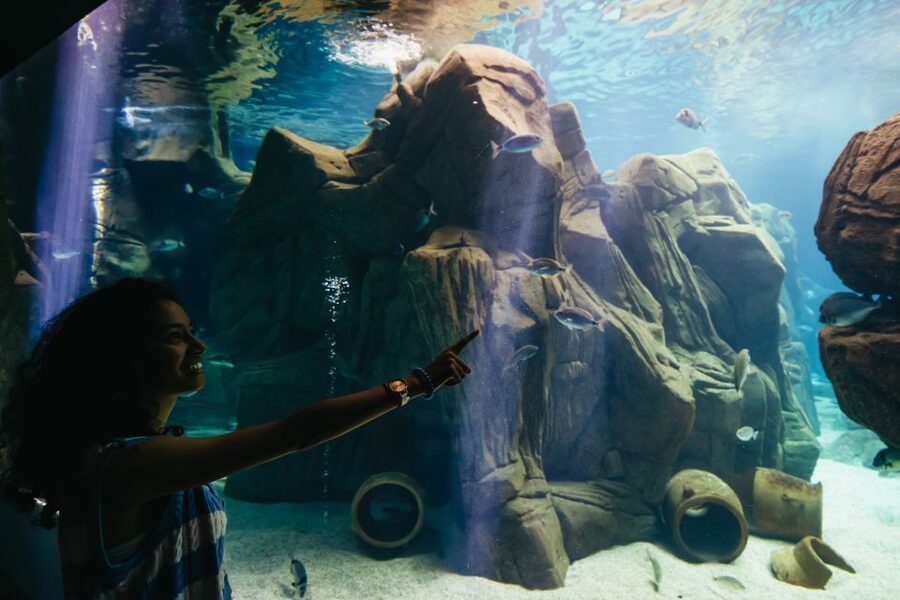 Heraklion Area: CRETAquarium Admission Ticket - Who this is best for, and who might feel underwhelmed