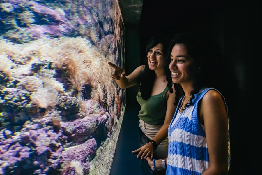 Heraklion Area: CRETAquarium Admission Ticket - Jellyfish and clownfish tanks, why shallow viewing is such a win