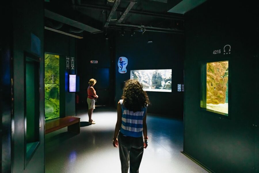 Heraklion Area: CRETAquarium Admission Ticket - The THALASSOKOSMOS mission, education and animal care